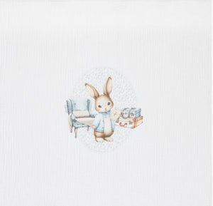 Jamiks Boys Ivory Velour Bunny Babysuit Set